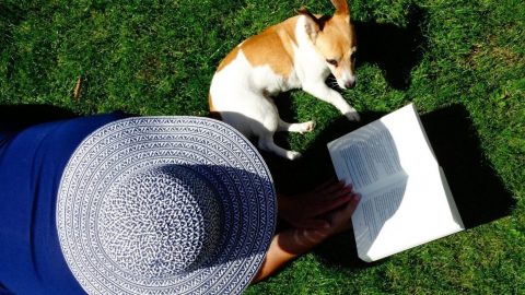 person wearing straw hat and reading with dog