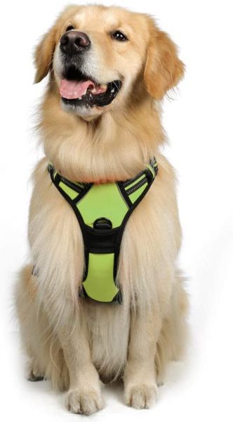 dog reflective gear