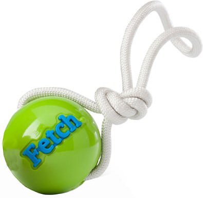 rubber fetch ball on a rope
