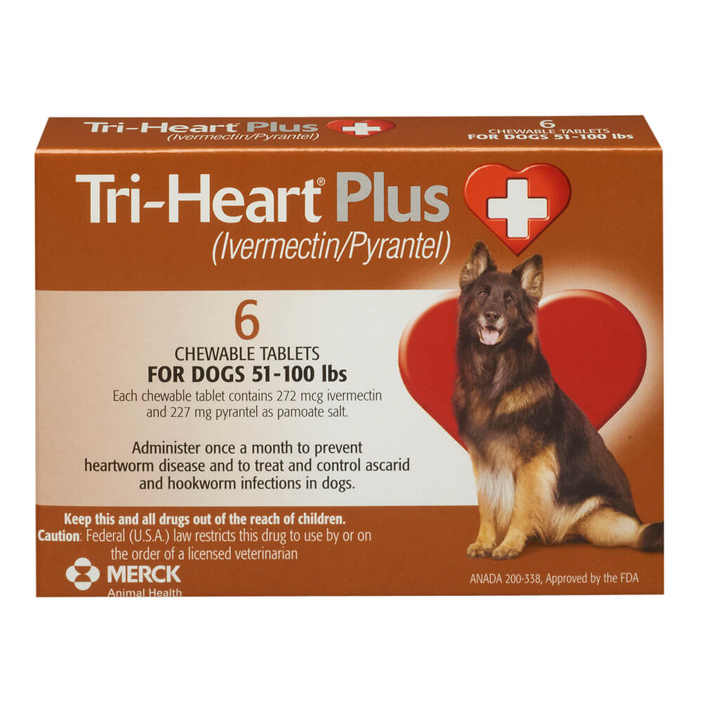 heartworm and dewormer