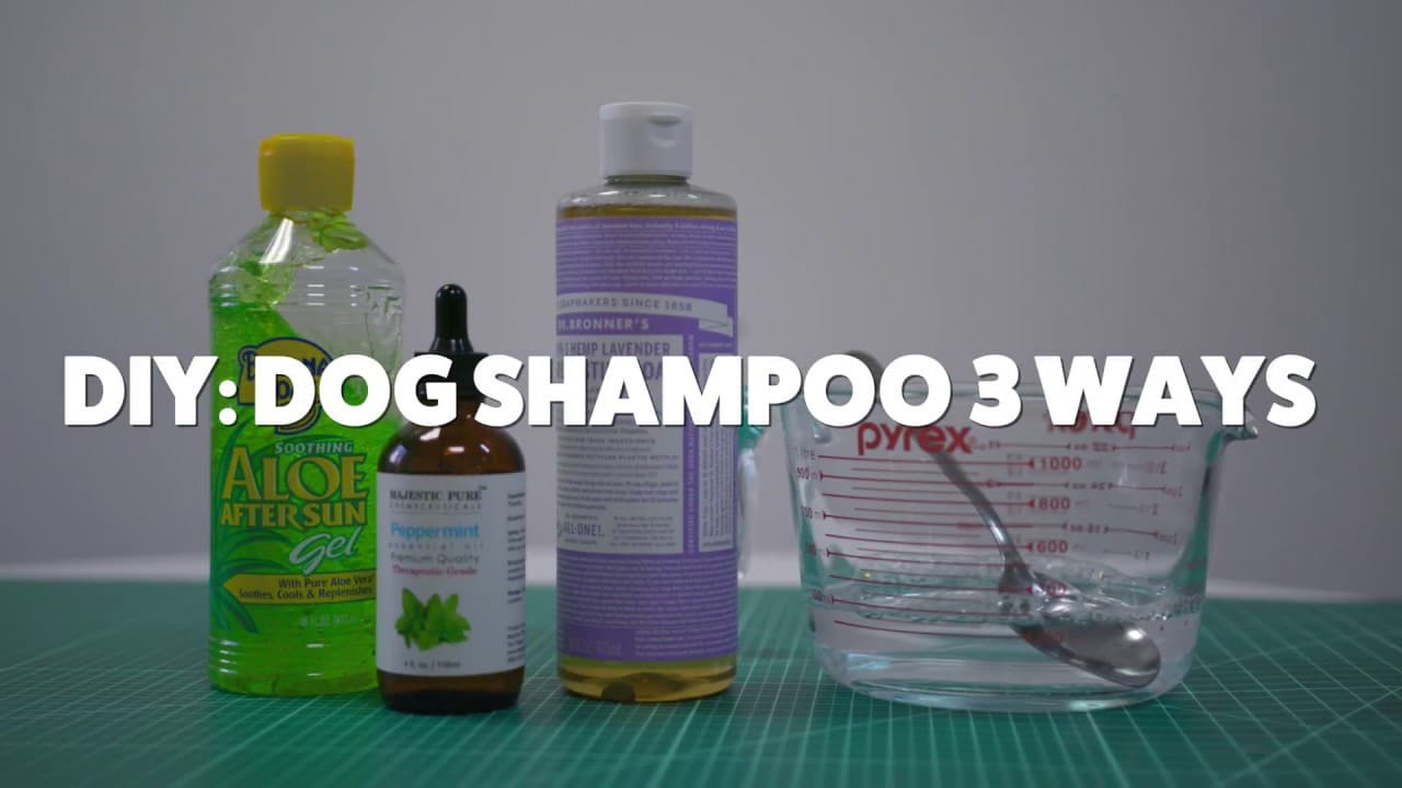 The Best Natural and Organic Dog Shampoos for Bath Time Peace of Mind