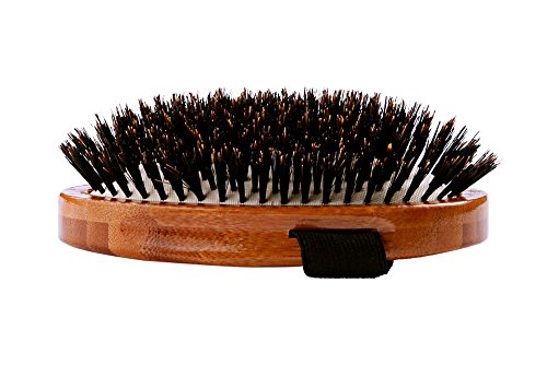 boar and bamboo brush