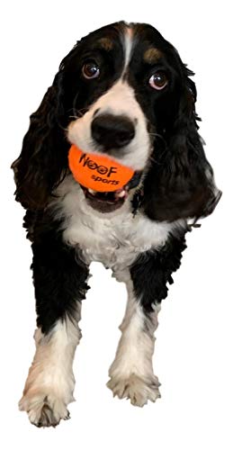 dog with Woof Sports ball