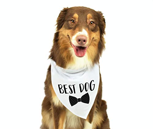 dog wearing bandana wedding outfit with bow tie on it and text that says "Best Dog"