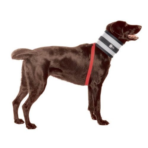 dog wearing cone alternative plastic and foam BiteNot collar with attached harness strap