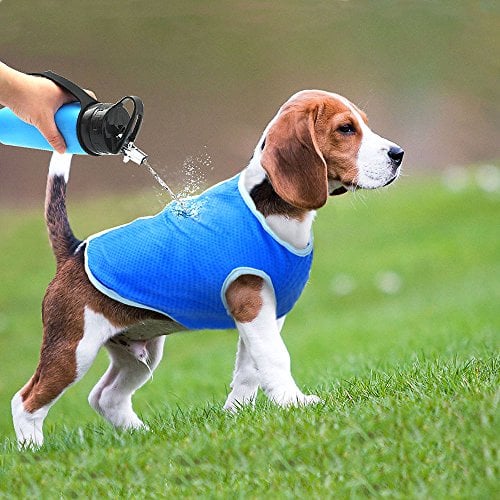 best cooling jacket for dogs