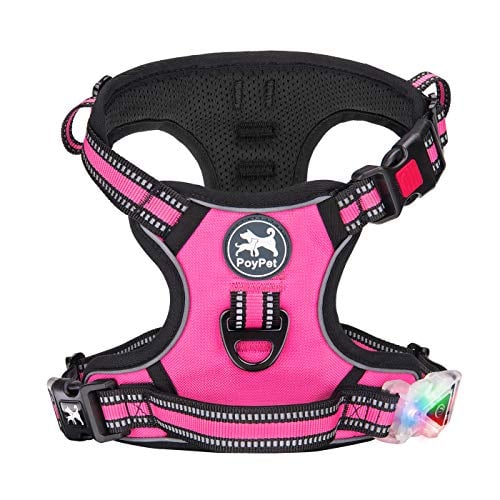 Best Puppy Harnesses The Top Harnesses for Puppies in 2020