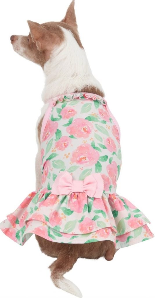 Dog Outfits for Wedding 20 Fantastic Wedding Items for Pets