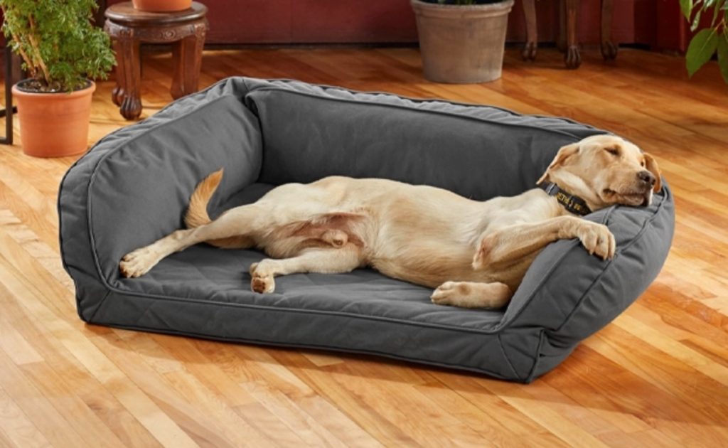 Best Natural, Organic Dog Beds The Best Natural, Organic Beds for Dogs