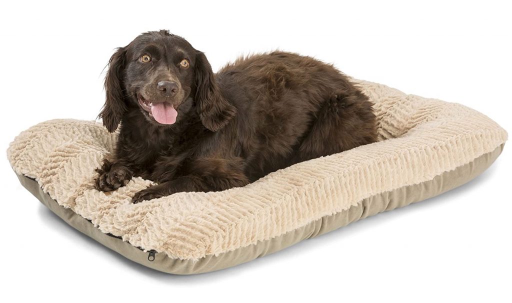 Best Natural, Organic Dog Beds The Best Natural, Organic Beds for Dogs