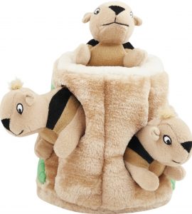 Chewy Outward Hound hide a squirrel squeaky plush puppy puzzle toy