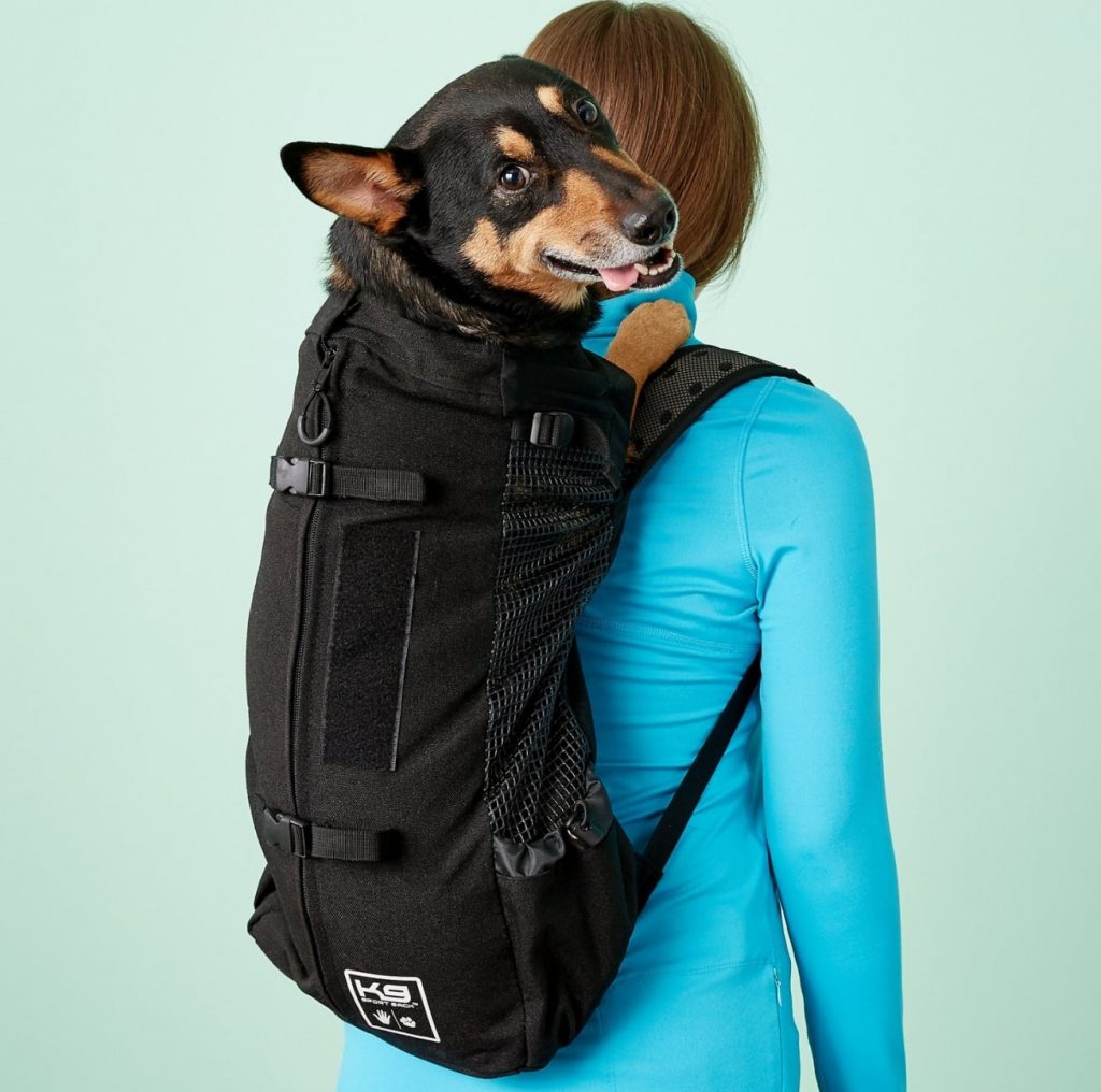 Dog Carriers for Bikes The 10 Best Carriers for Dogs to Ride Along In