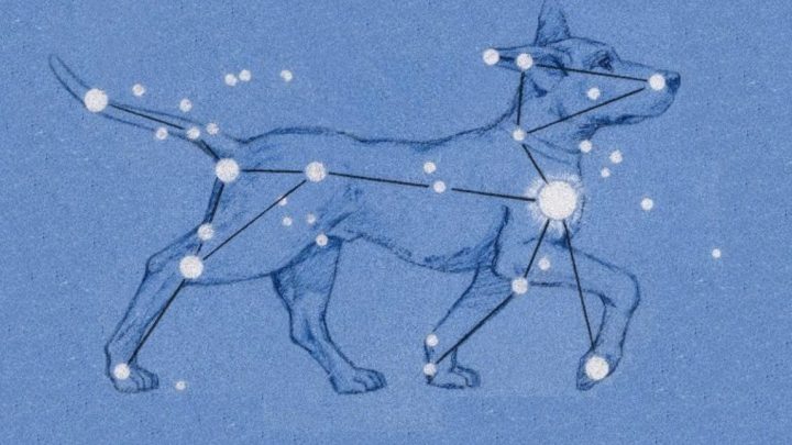 horoscope