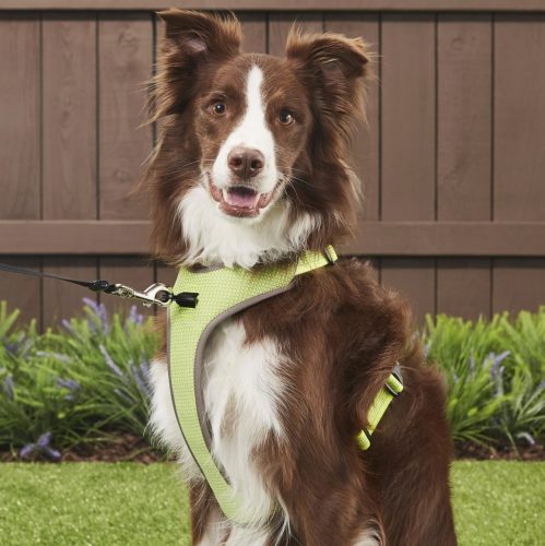 Chai's Choice Outdoor Adventure Reflective Double Clip Harness
