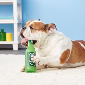 Silly Squeakers Heini Sniffn Beer Bottle Dog Toy