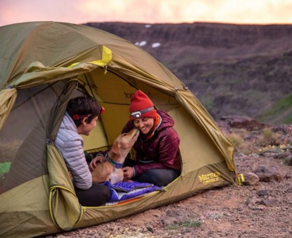 two campers in a tent with a dog on its own sleeping bag