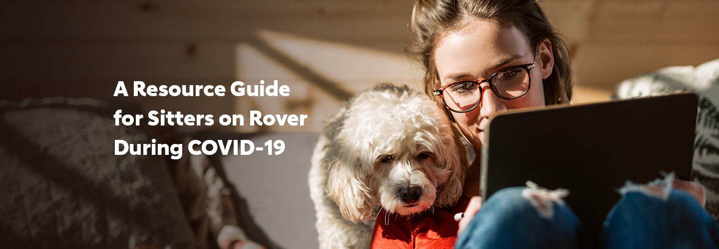 A Resource Guide for Sitters on Rover During COVID19 The Dog People
