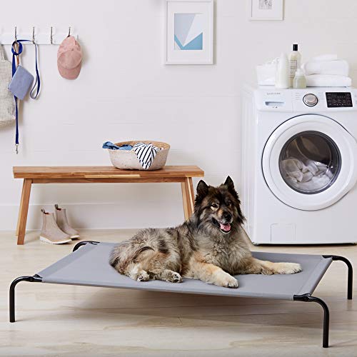 AmazonBasics elevated cheap dog bed
