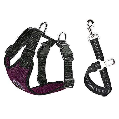 Lukovee car dog harness and safety belt set