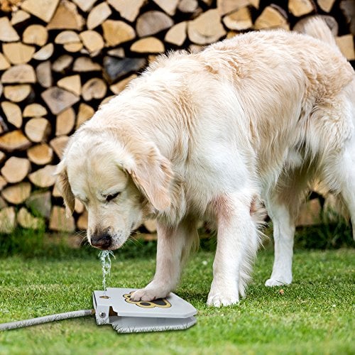 dog drinking from TrioGato outdoor dog water fountain 