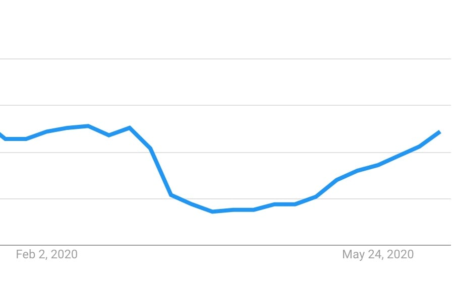 Dog Boarding Trend