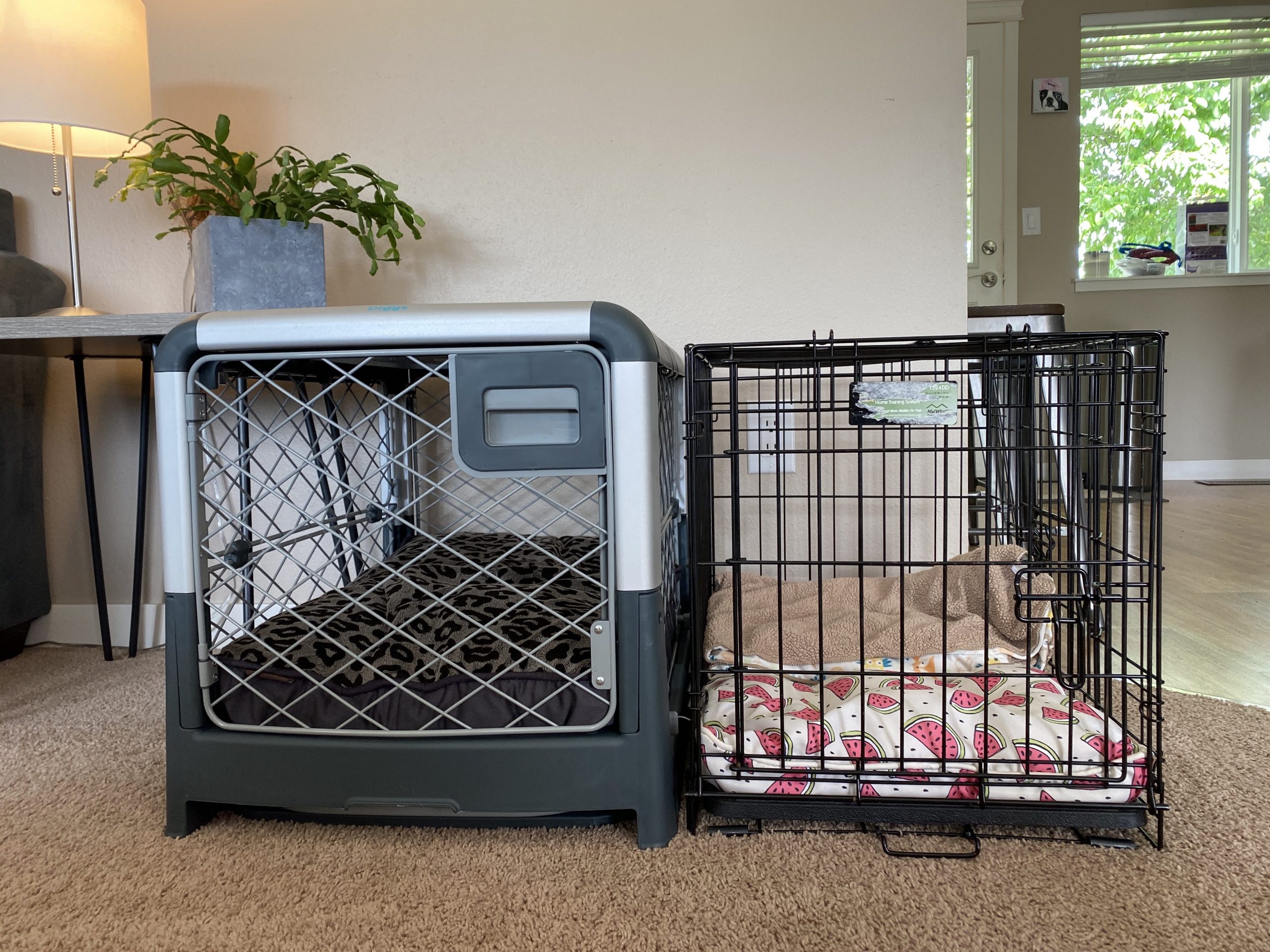 revol diggs dog crate alongside midwest crate