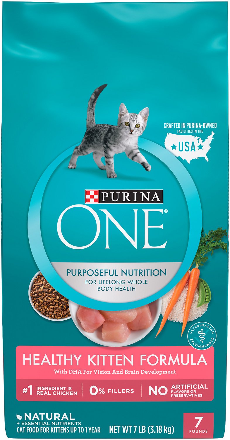 Best Dry Cat Foods Top Picks for Kittens, Adults, Seniors