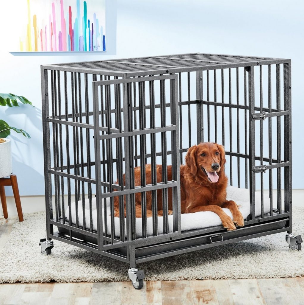 The Best Dog Crates for Training Dog Crate Training