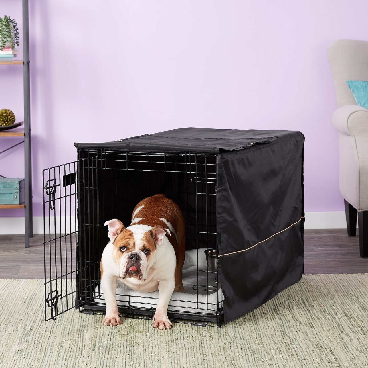 The Best Dog Crates for Training Dog Crate Training