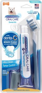 Nylabone Denta-C oral care kit