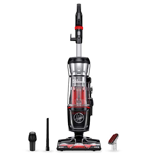 Best Pet Hair Vacuums 20 Powerful Vacuums for Dog and Cat Hair