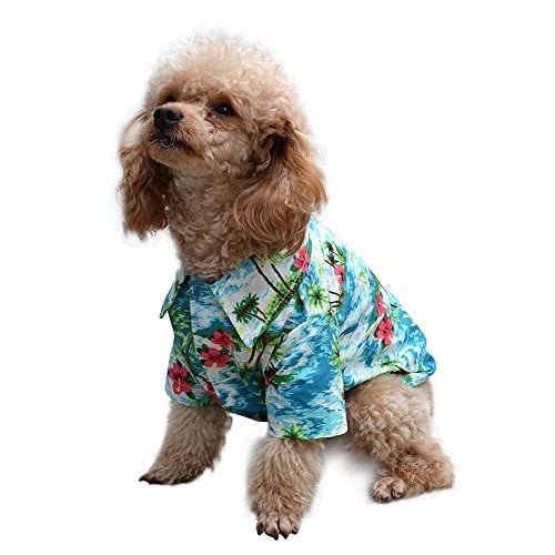 dog wearing Expawlorer Hawaiian Pet Dog Polo Shirt