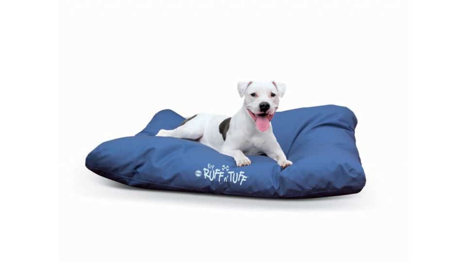 puppy proof dog bed