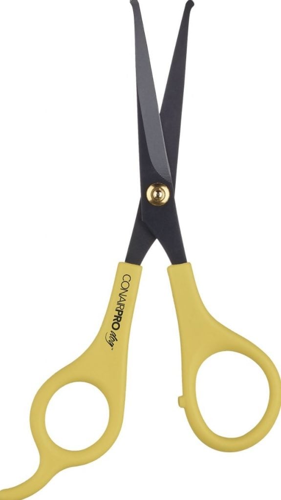 Dog Grooming Scissors The Best Dog Shears for AtHome Trims