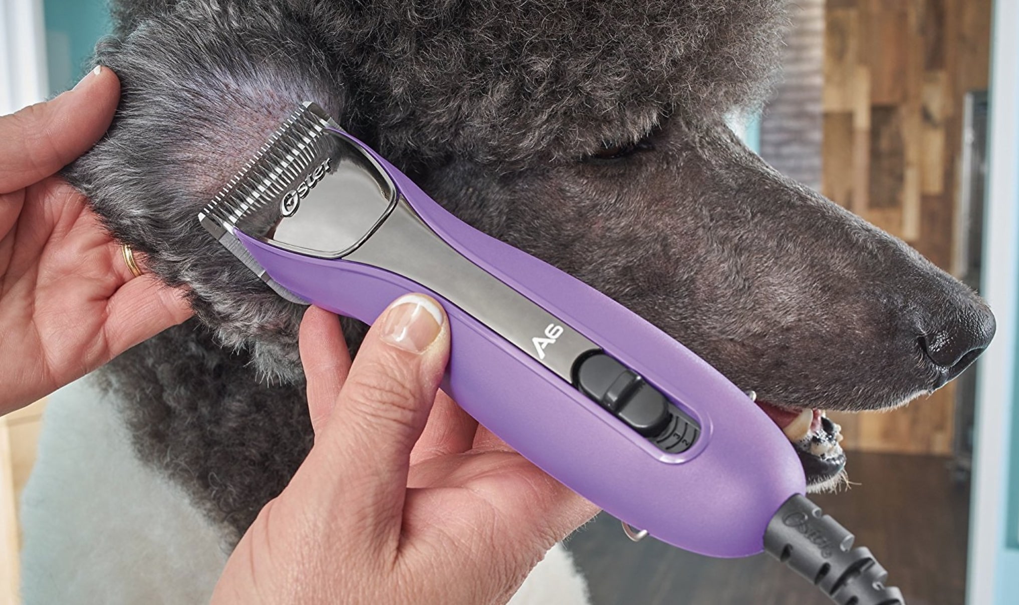 andis dog clippers not cutting