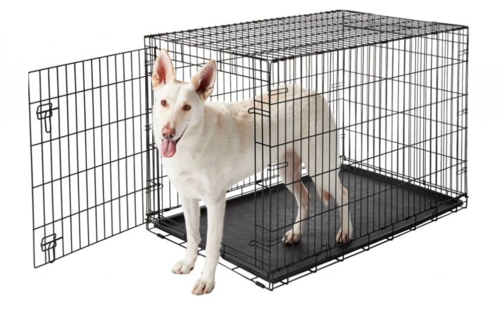 Collapsible Dog Crates The Best Collapsible Dog Crates