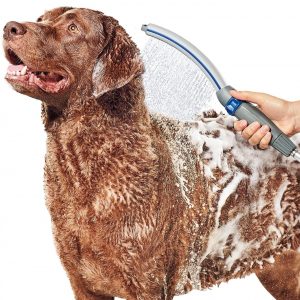 Dog Shower Heads Wash Up With These, Dog Shower Head For Bathtub
