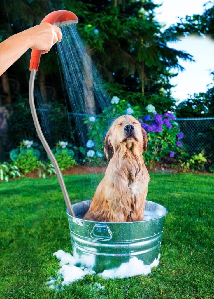 Dog Shower Heads Wash Up with These Dog Shower Heads