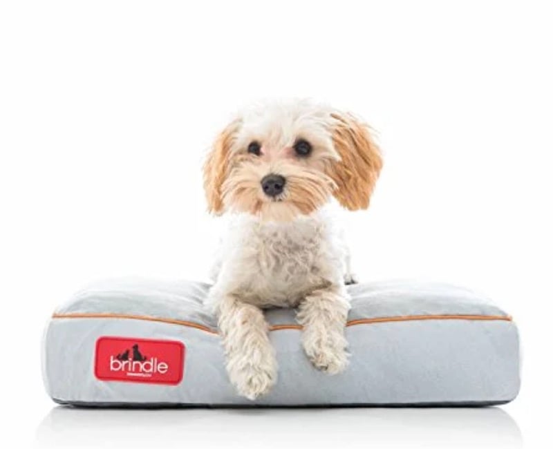 memory foam crate mat