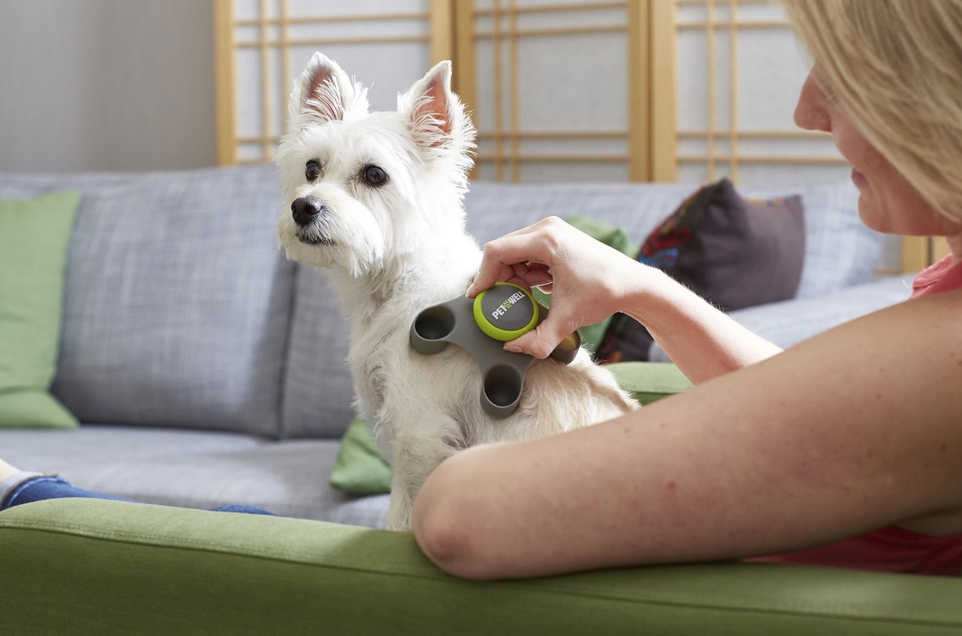Dog Massage Tools The Best Dog Massage Tools for Total Bliss