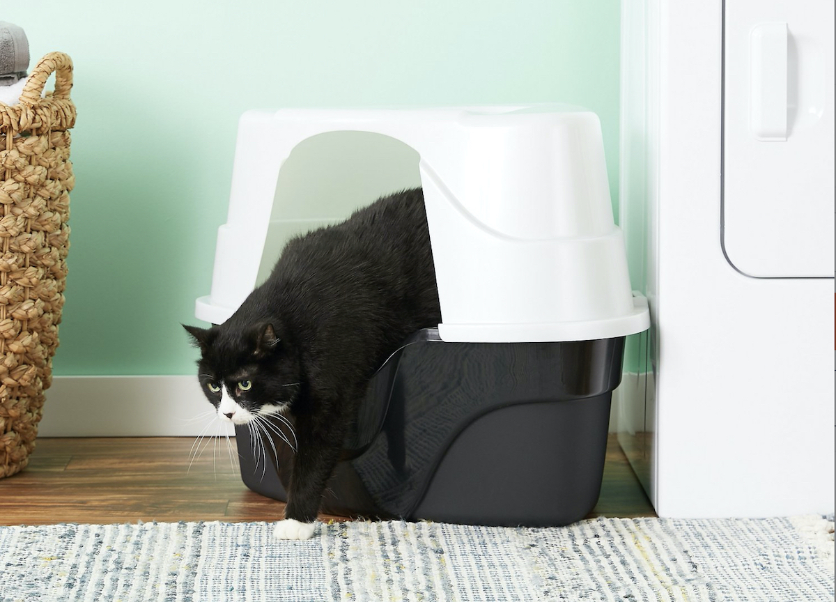 Covered Cat Litter Box The Scoop on the Best Covered Cat Litter Boxes