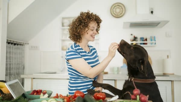 young woman feeding a dog a treat in the kitchen