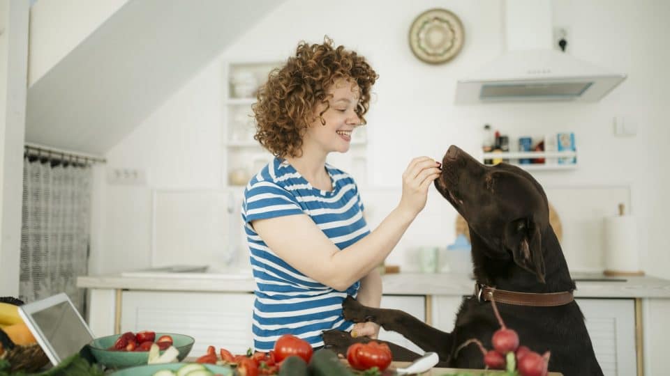 young woman feeding a dog a treat in the kitchen