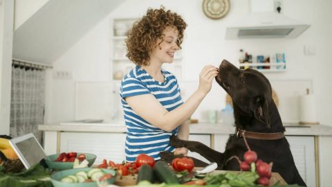 young woman feeding a dog a treat in the kitchen