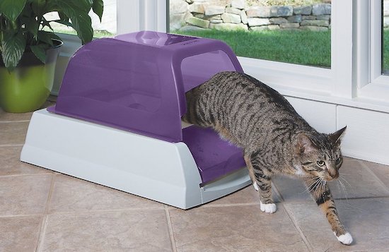 Best Robot Cat Litter Box Our Pick and Two Runners Up