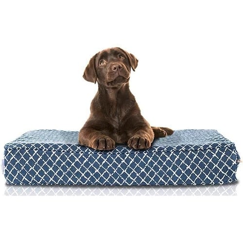 puppy on memory foam dog bed
