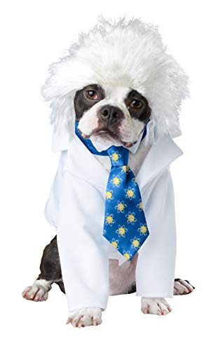 medium dog in Albert Einstein costume