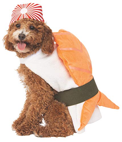 dog dressed as sushi roll