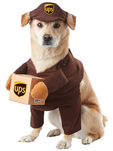dog in brown UPS driver costume