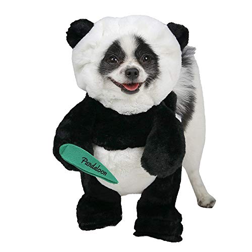 dog in panda costume